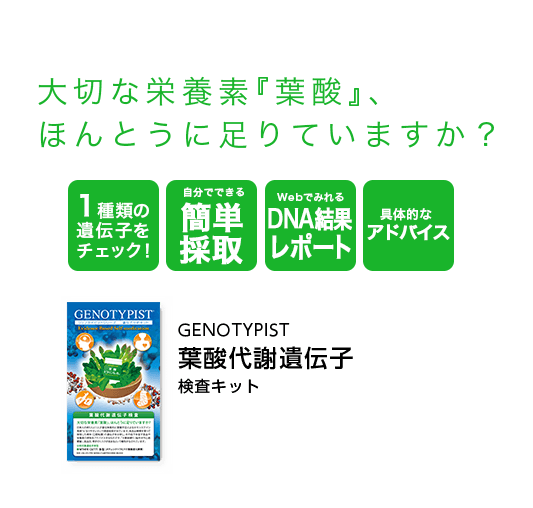 大切な栄養素『葉酸』、ほんとうに足りていますか？