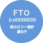 FTO 高カロリー嗜好遺伝子