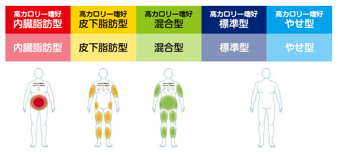 高カロリー嗜好内臓脂肪型 高カロリー嗜好皮下脂肪型 高カロリー嗜好混合型 高カロリー嗜好標準型 高カロリー嗜好標準型 高カロリー嗜好やせ型